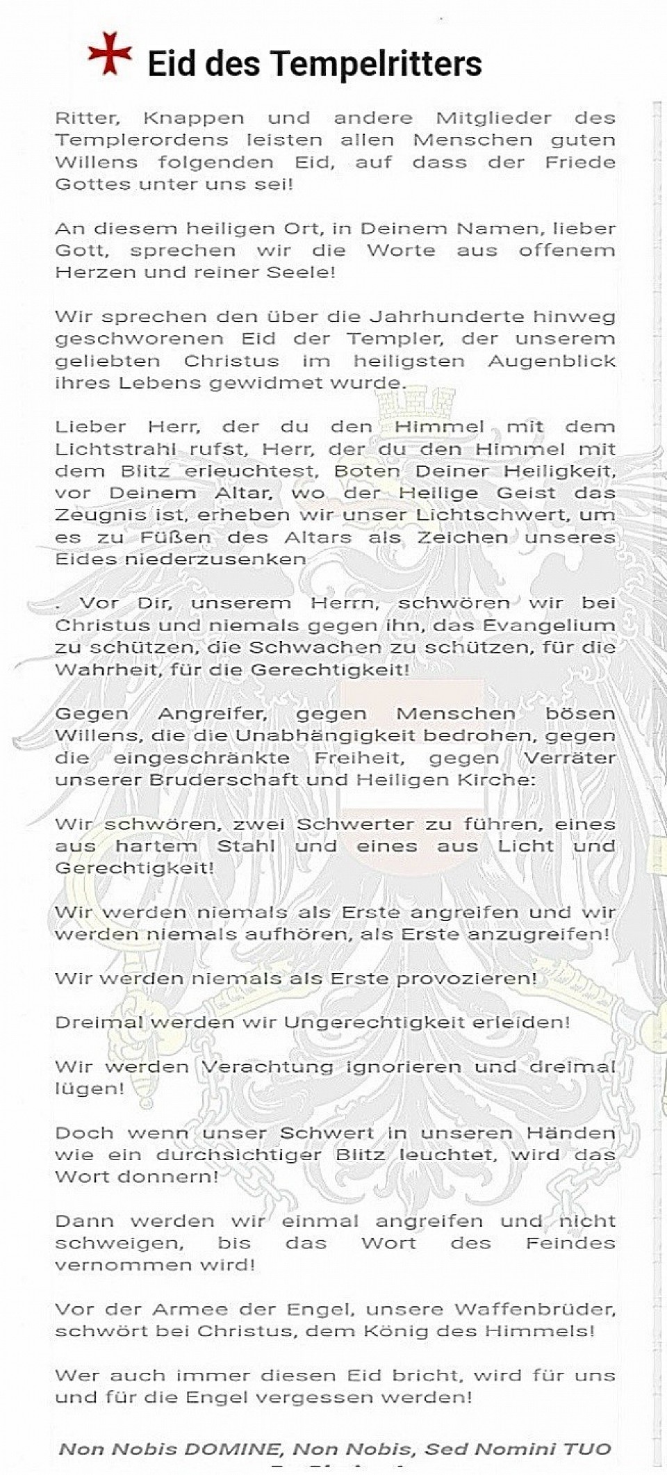 Der Eid der Tempelritter steht für Gemeinschaft, Treue und den Schutz der Schwachen. Er fordert Mut, Ehrlichkeit und Einsatz für das Gute – mit Herz und Entschlossenheit.